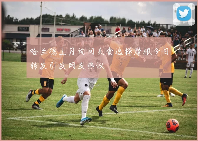 哈兰德上月询问美食选择摩根今日转发引发网友热议